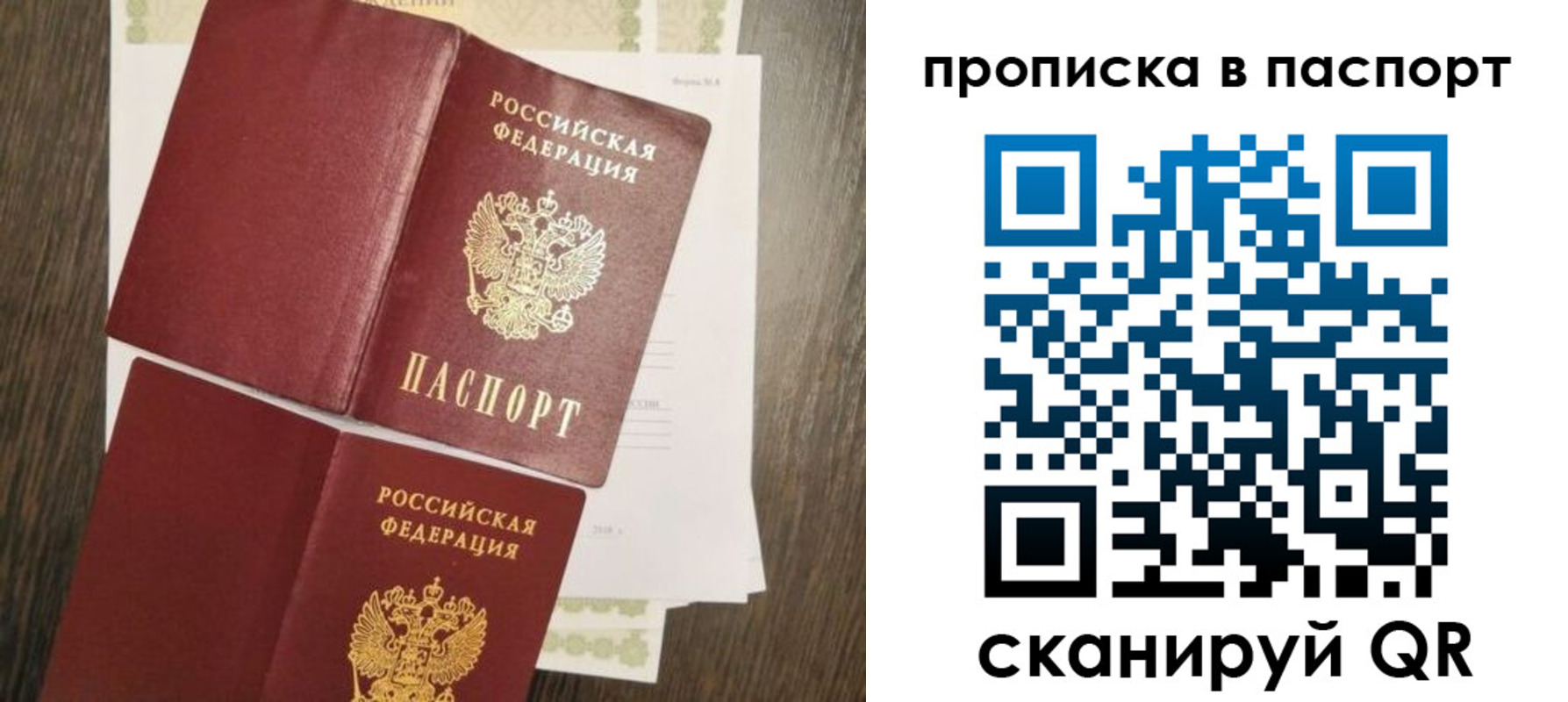 прописка гарантия в Ржеве