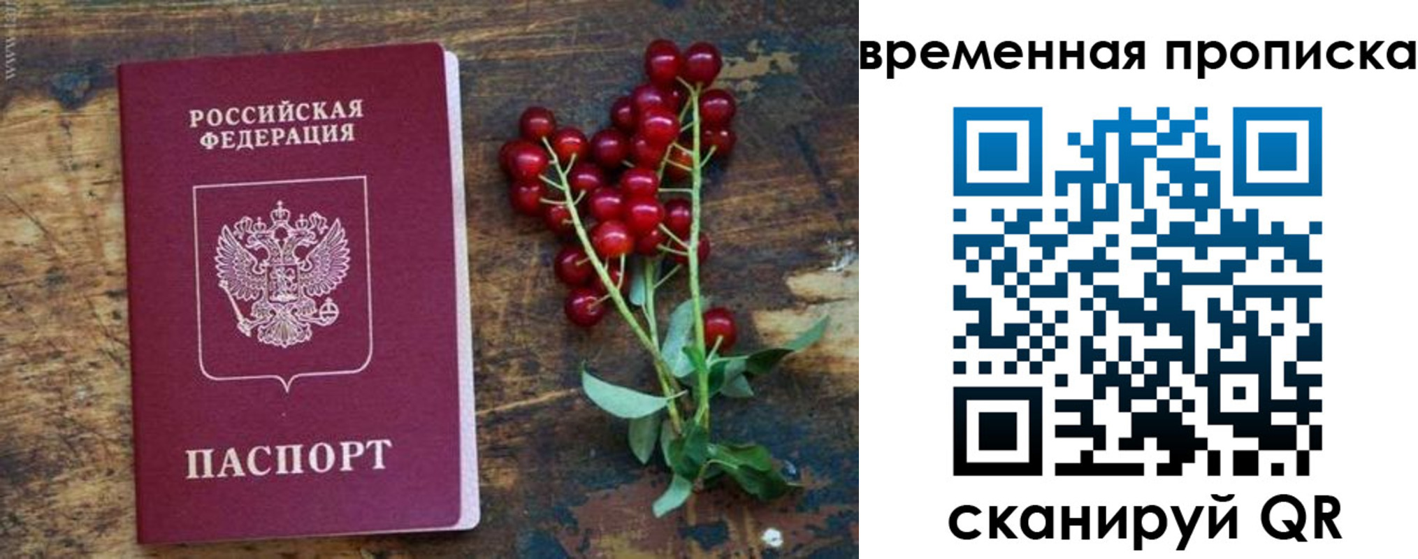 временная регистрация гарантия в Ржеве